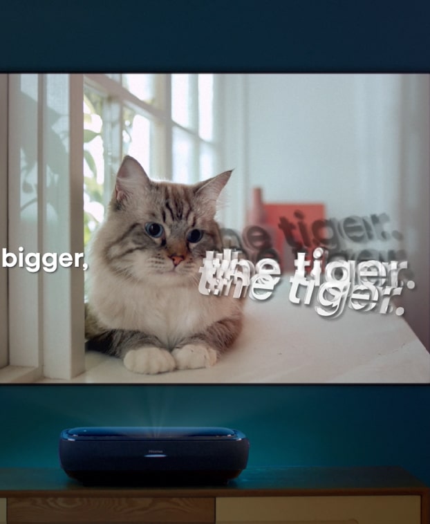 <span>Hisense Laser TV!</span><br> <span>The bigger, The Tiger!</span>